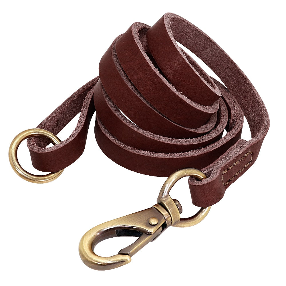 Leather Dog Collar and Leash Set