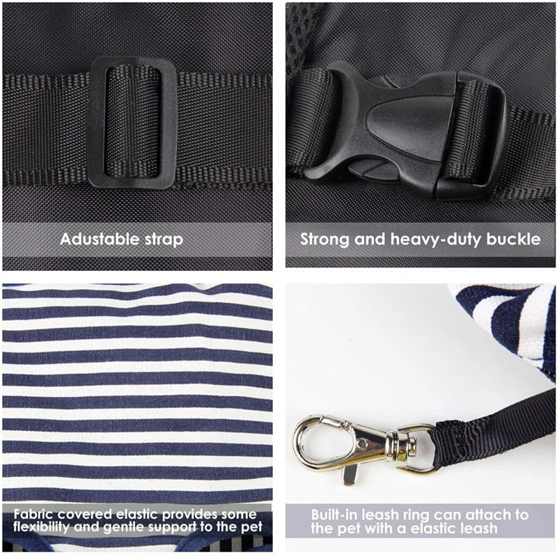 Colorful Carrier Backpack