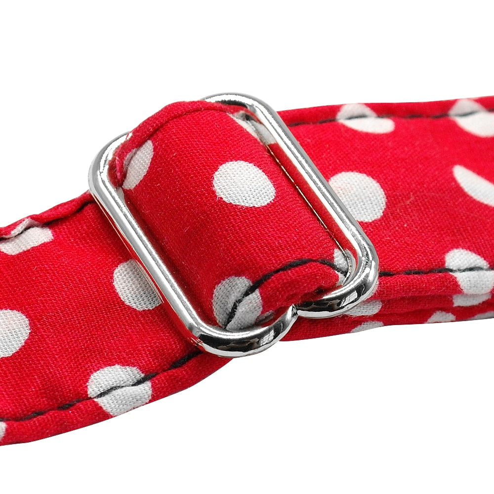 Polka Dot Collar with Engraved ID