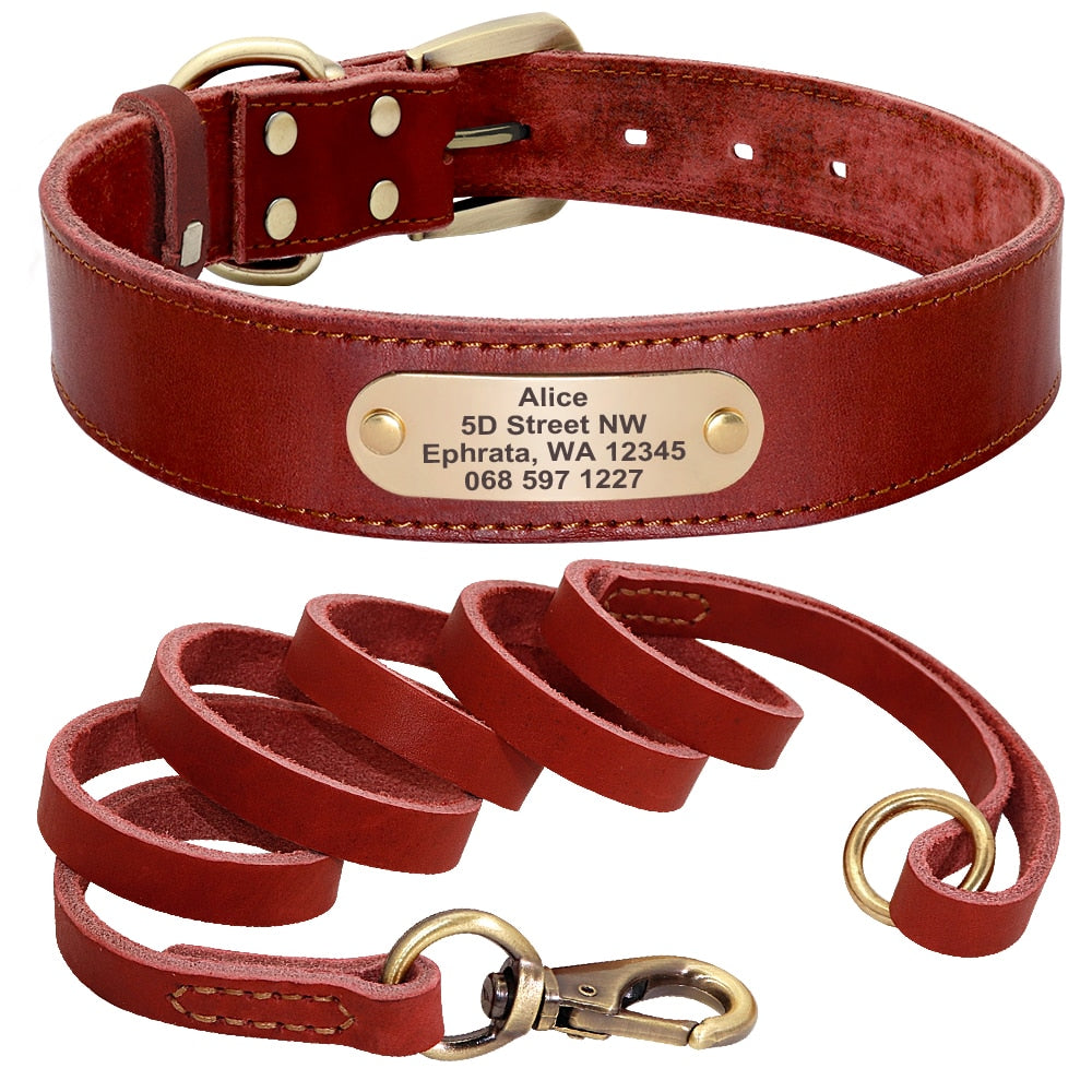 Leather Dog Collar and Leash Set