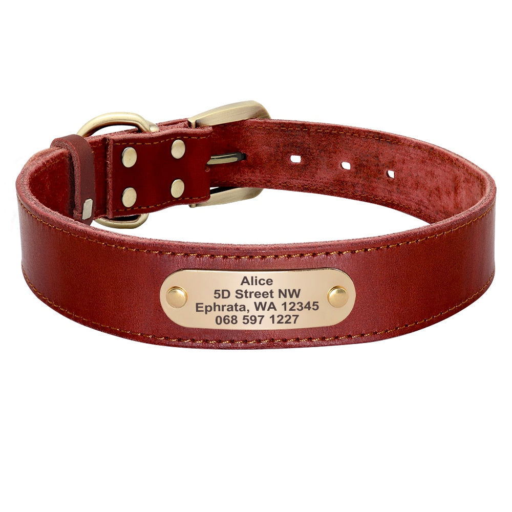 Leather Dog Collar and Leash Set