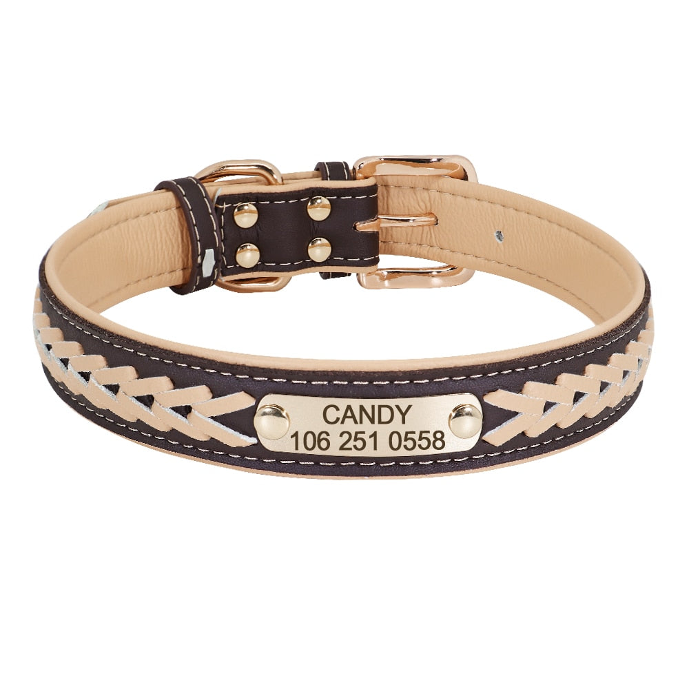 Personalized Braided Dog Collar