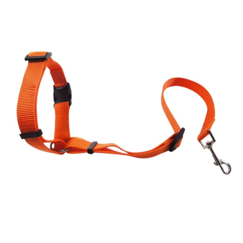 Car Seat Belt with Cushioning Elastic Safety Rope