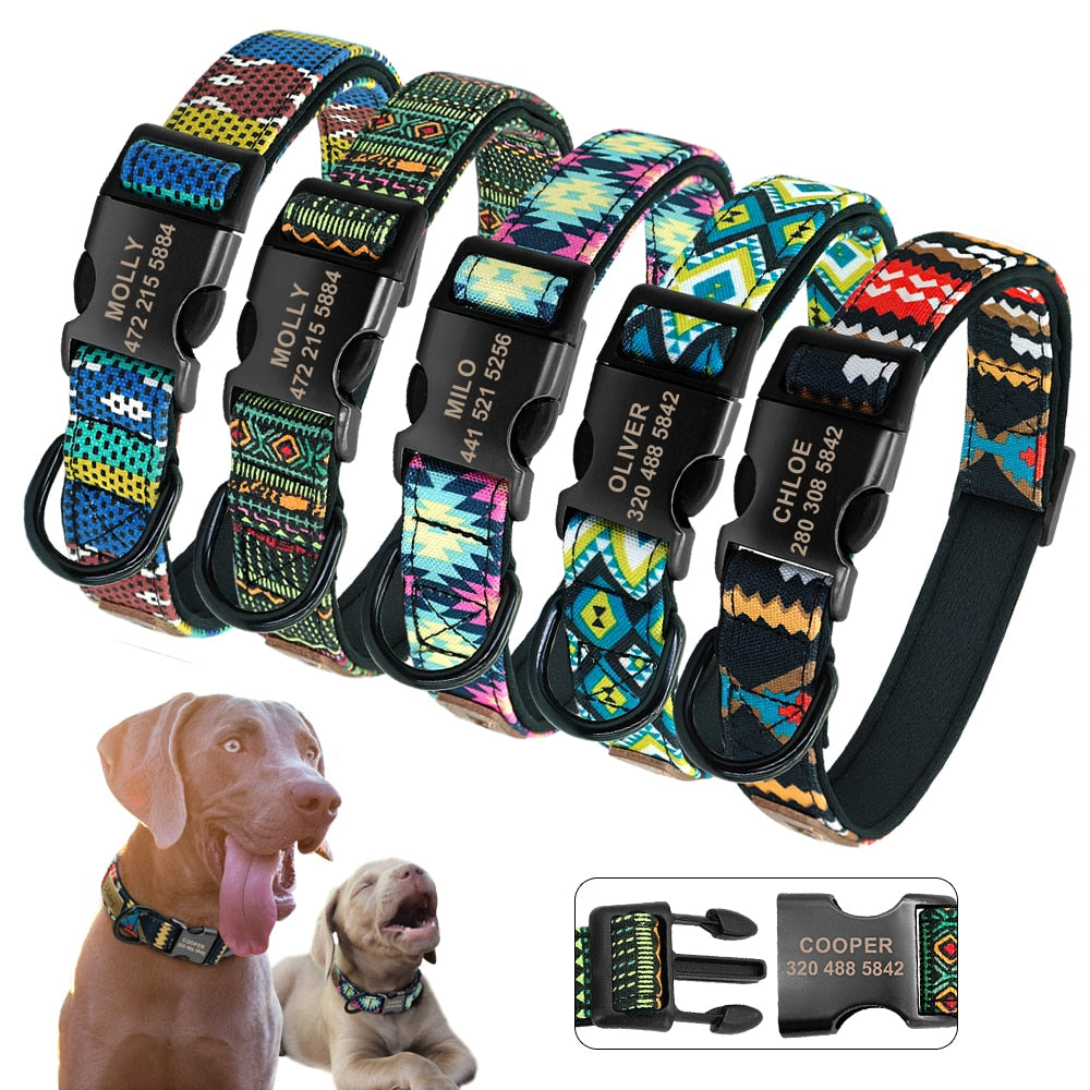 The Ultimate Personalized Dog Collar and Leash Set!