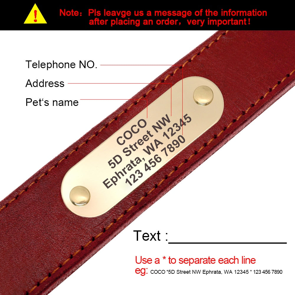 Real Leather Dog Collar Engraved