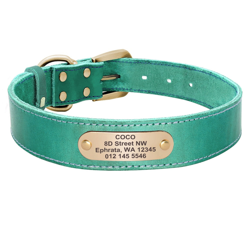Leather Dog Collar and Leash Set