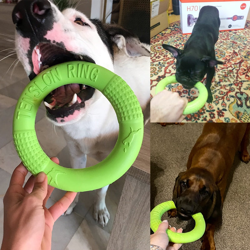 Durable Dog Toys for Interactive Training and Outdoor Fun