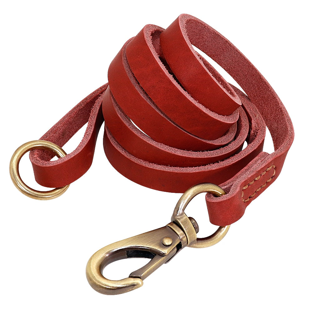 Leather Dog Collar and Leash Set