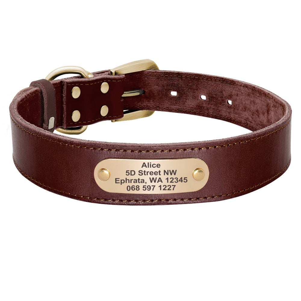 Leather Dog Collar and Leash Set