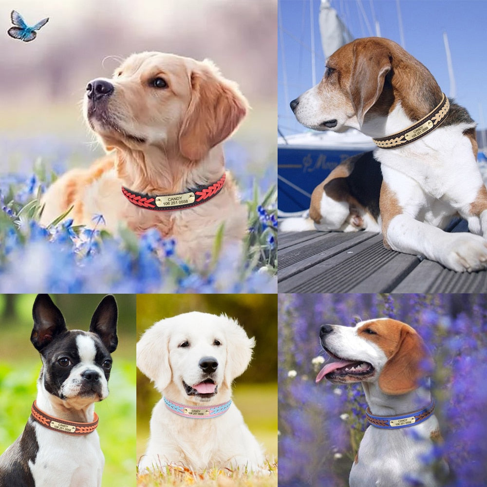 Personalized Braided Dog Collar