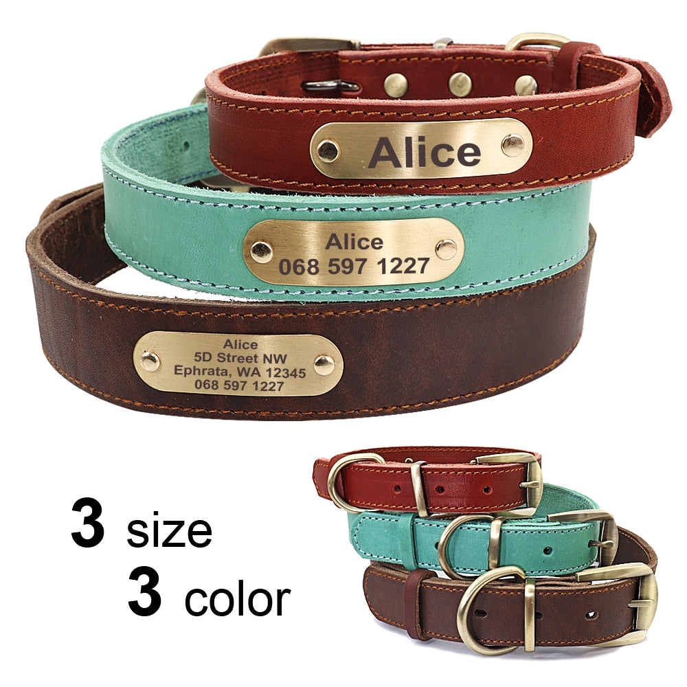 Leather Dog Collar and Leash Set