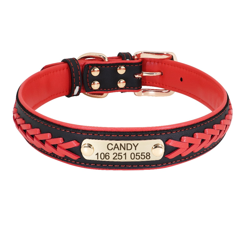 Personalized Braided Dog Collar