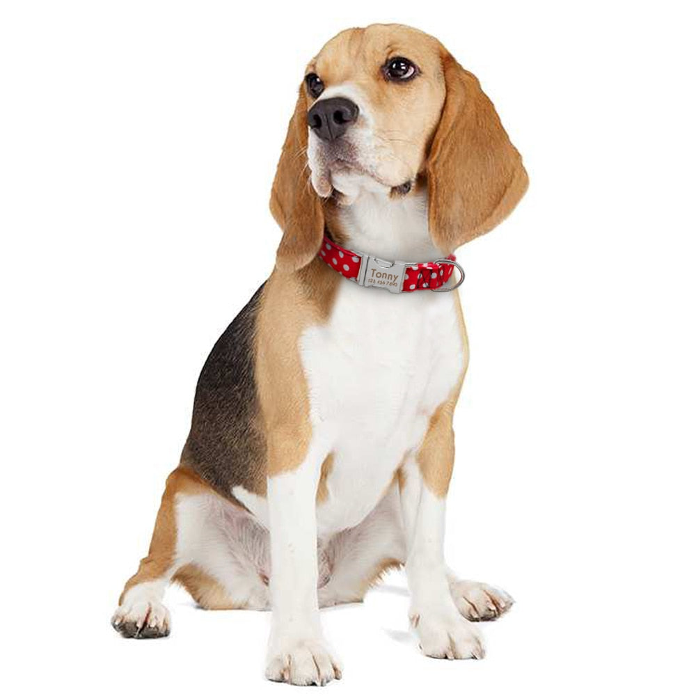 Polka Dot Collar with Engraved ID