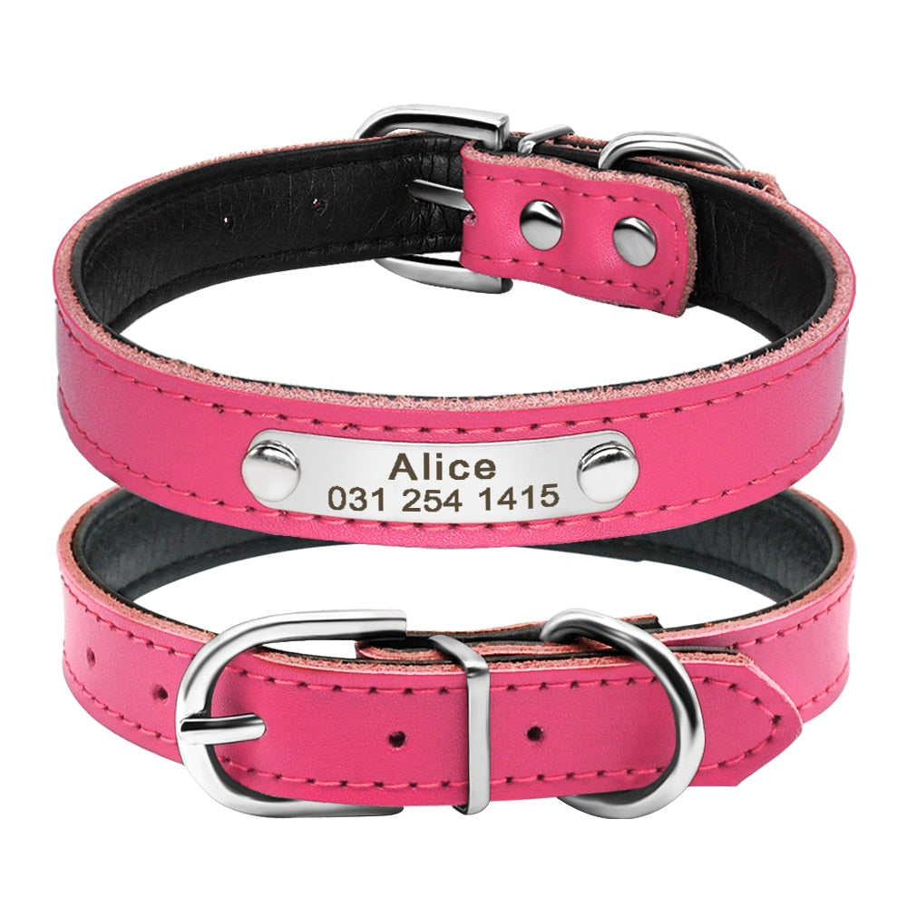 Leather Dog Collar with Inner Padding and Engraved Nameplate ID Tag!