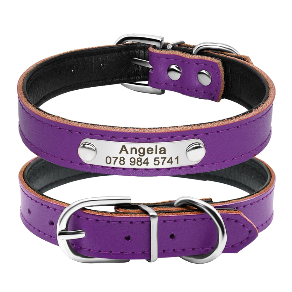 Leather Dog Collar with Inner Padding and Engraved Nameplate ID Tag!