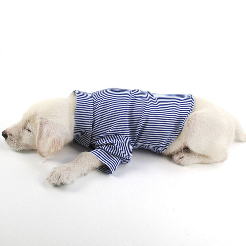 Slim Fit Long-Sleeve Dog Shirts