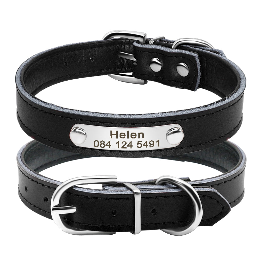 Leather Dog Collar with Inner Padding and Engraved Nameplate ID Tag!