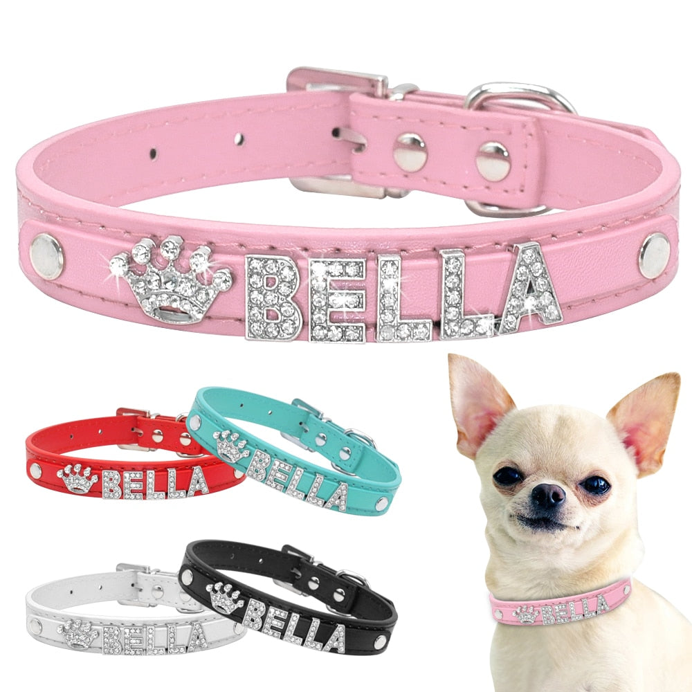 Sparkle and Shine Collars