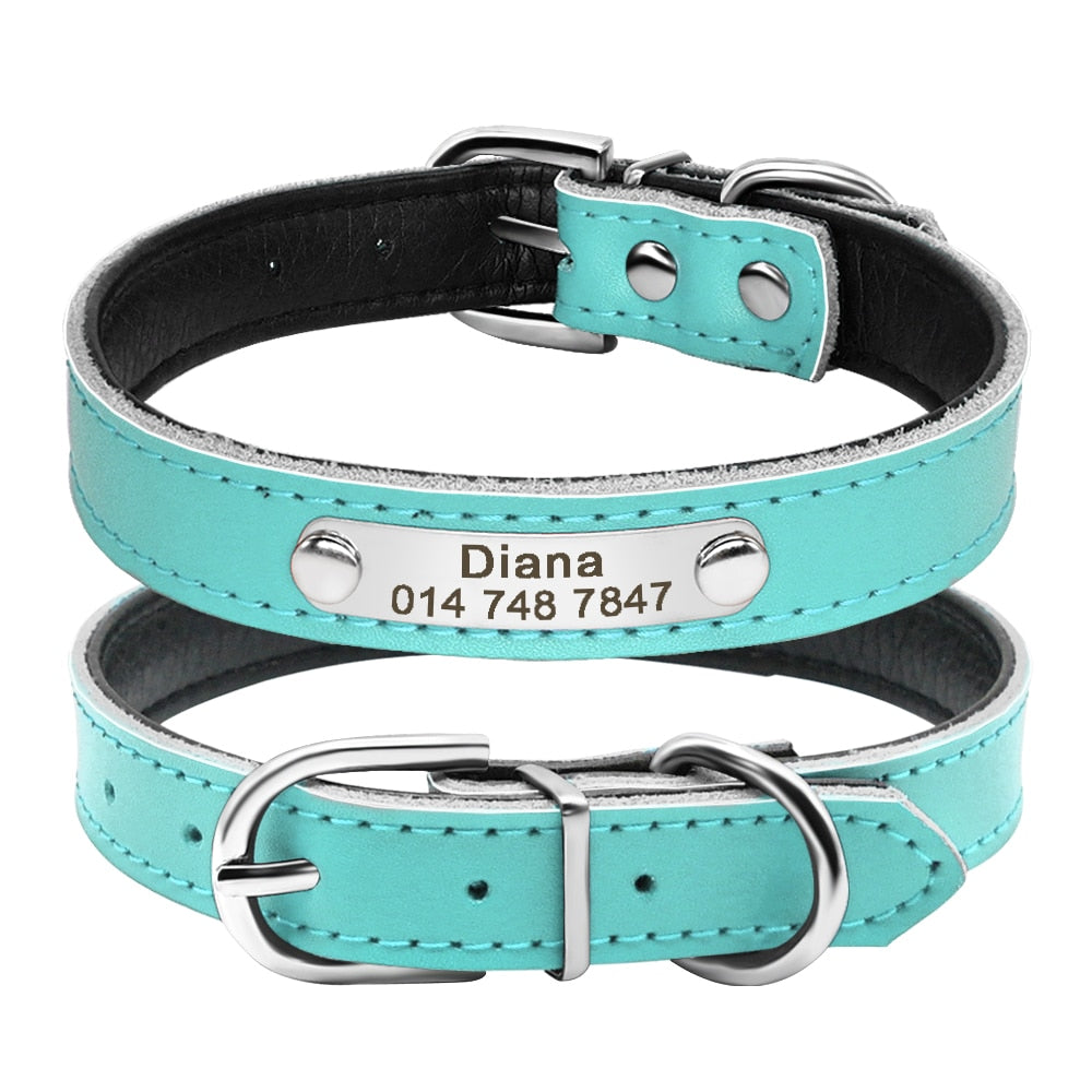 Leather Dog Collar with Inner Padding and Engraved Nameplate ID Tag!