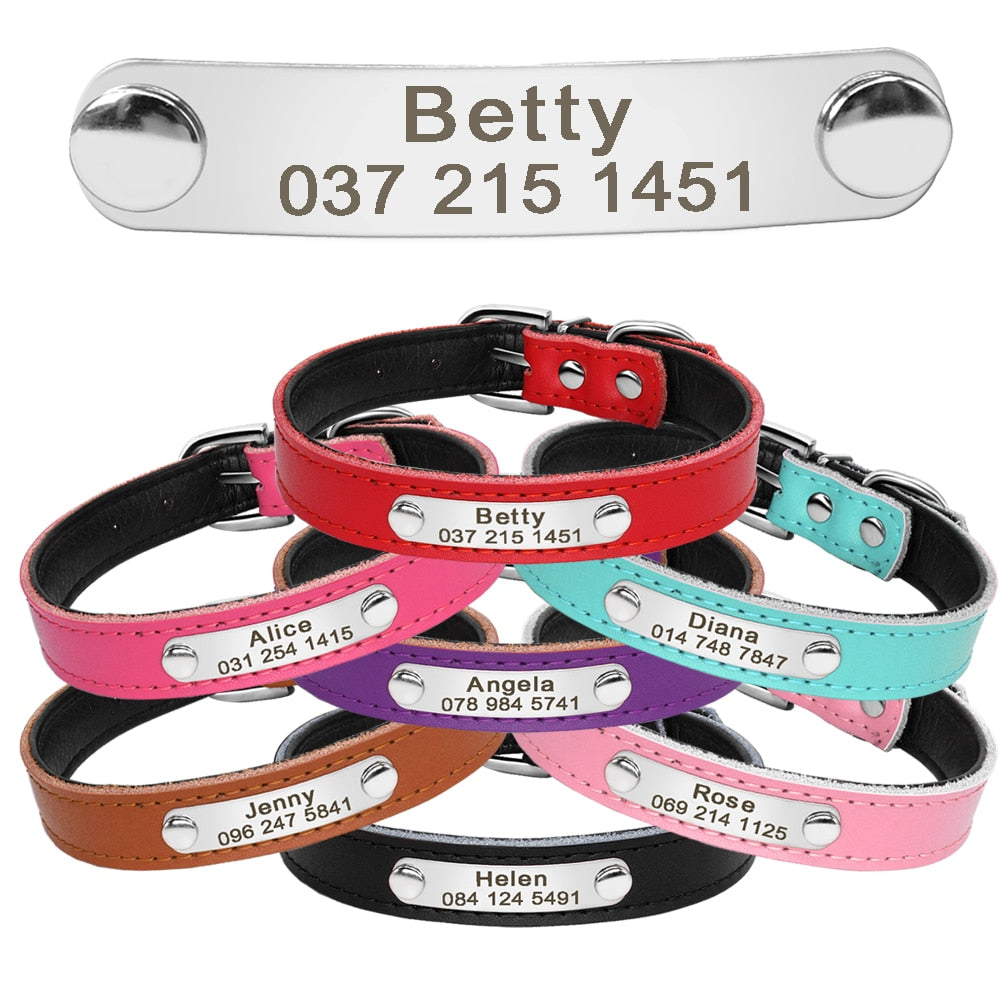 Leather Dog Collar with Inner Padding and Engraved Nameplate ID Tag!