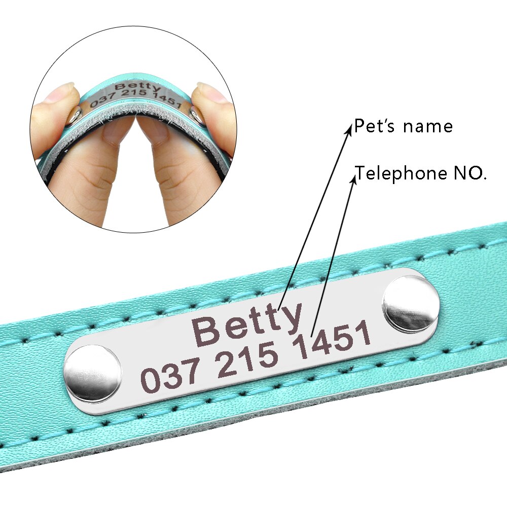 Leather Dog Collar with Inner Padding and Engraved Nameplate ID Tag!