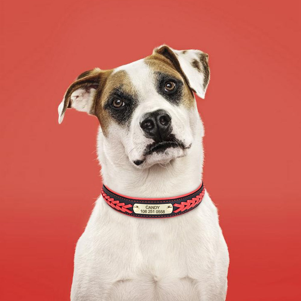 Personalized Braided Dog Collar