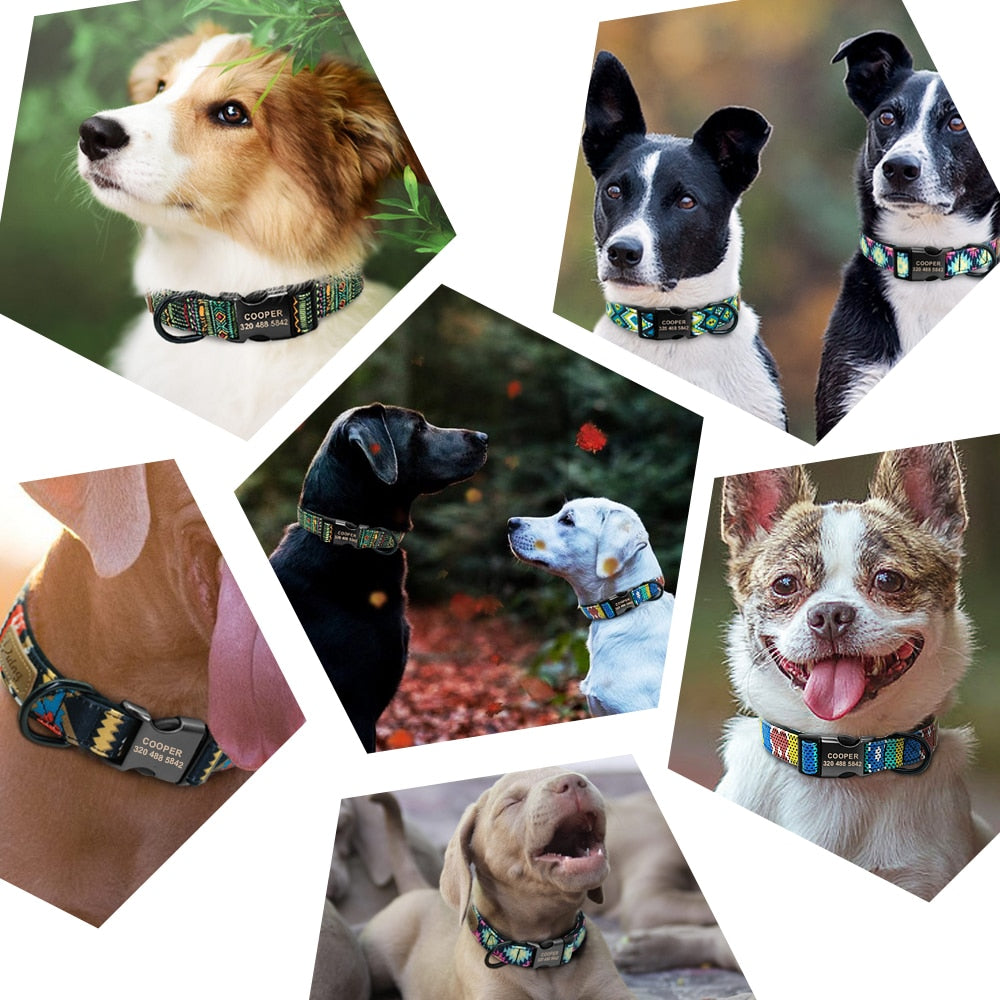The Ultimate Personalized Dog Collar and Leash Set!