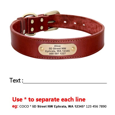 Leather Dog Collar and Leash Set