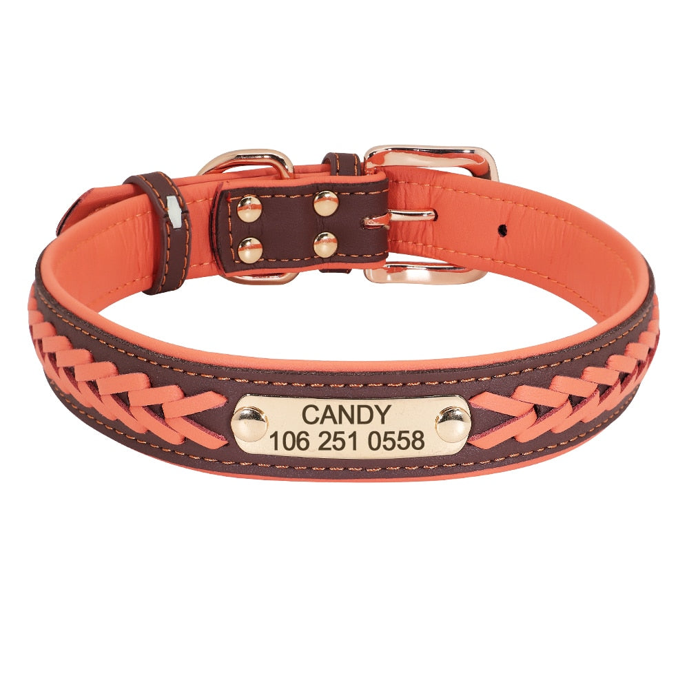 Personalized Braided Dog Collar