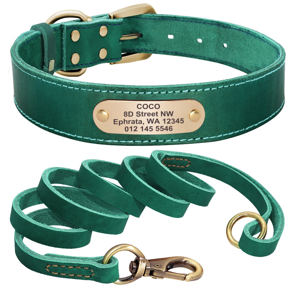 Leather Dog Collar and Leash Set