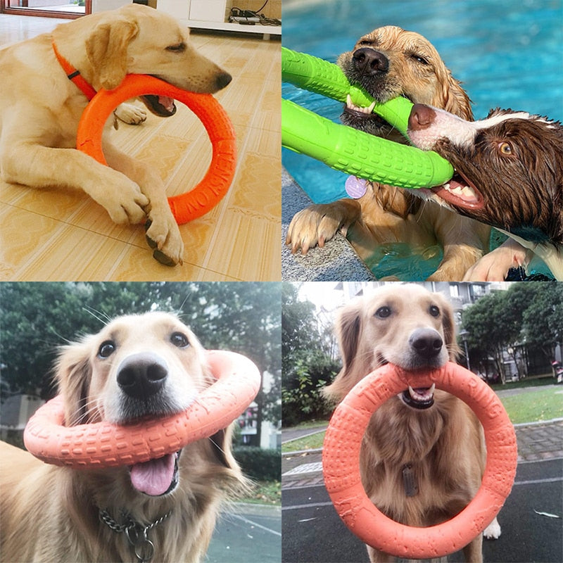 Durable Dog Toys for Interactive Training and Outdoor Fun