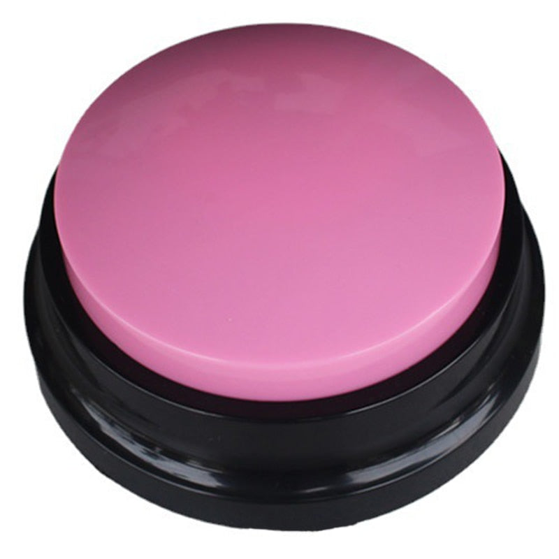 Fun and Effective Pet Communication Training