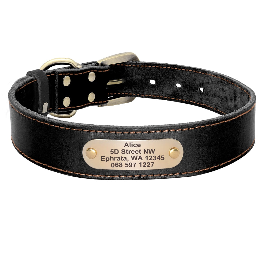 Leather Dog Collar and Leash Set