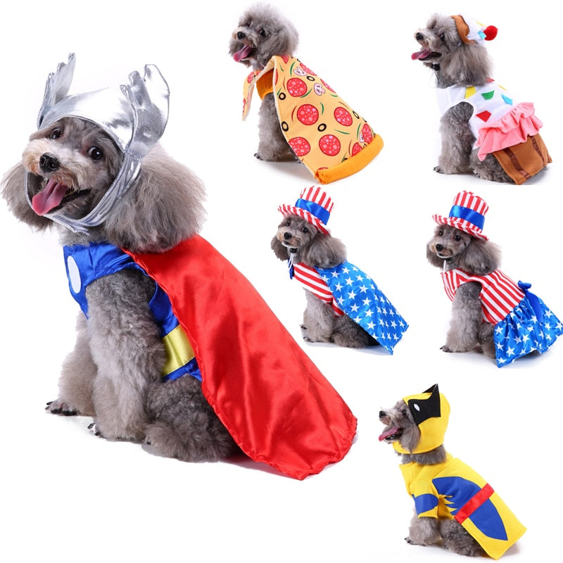 Themed Dog Costume Outfit