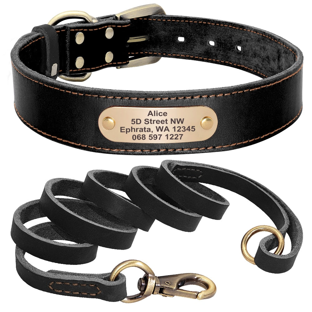 Leather Dog Collar and Leash Set