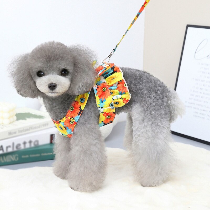 Adorable Dog Dress with Leash Set