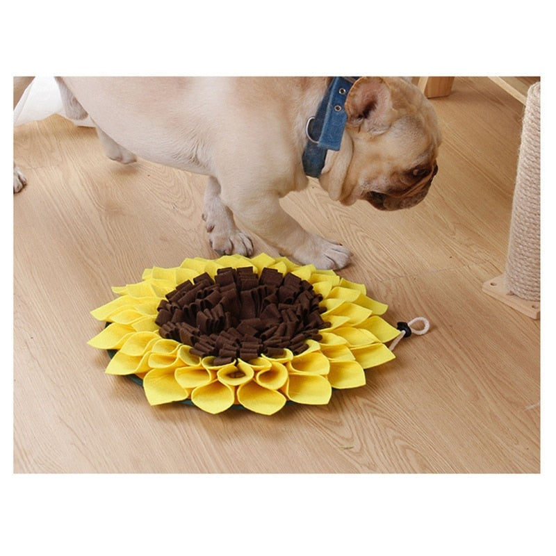 Sunflower Snuffle Puzzle
