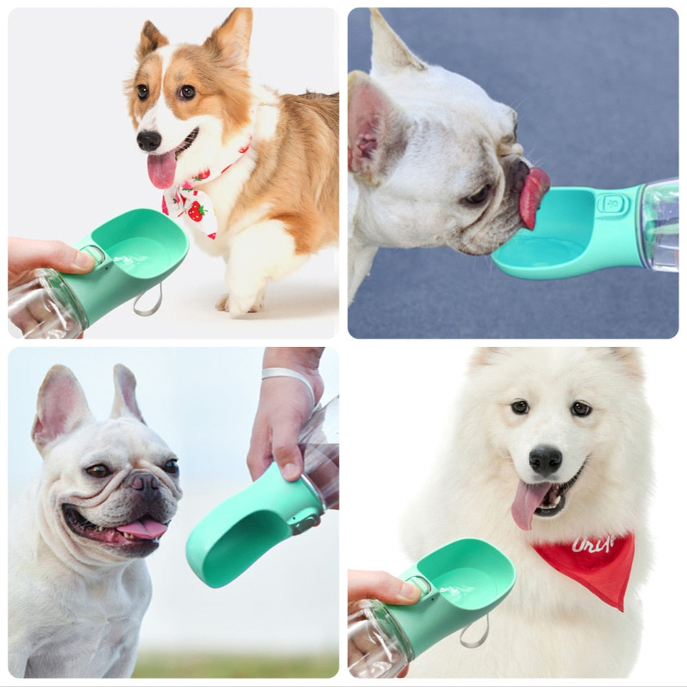 Portable Travel Pet Drinker