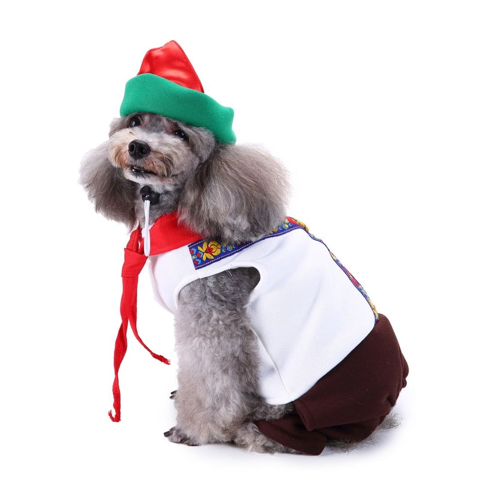 Themed Dog Costume Outfit
