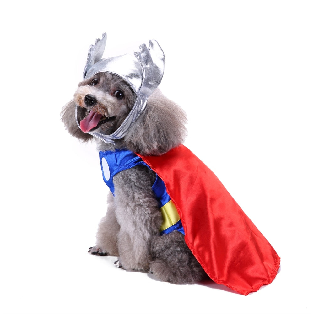 Themed Dog Costume Outfit