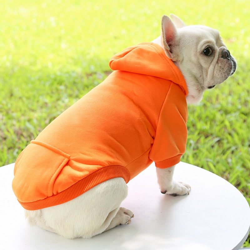 Sleek and trendy hoodie