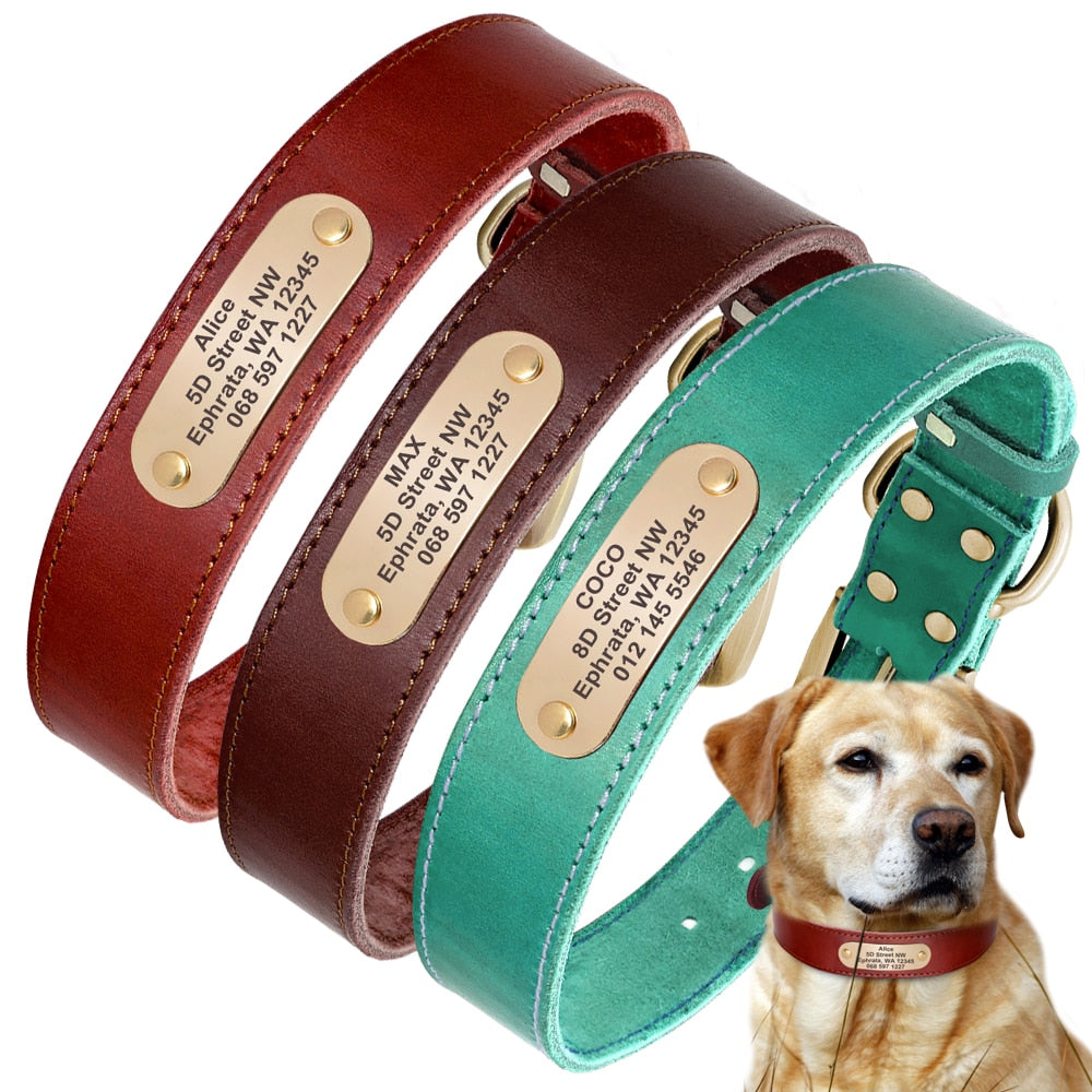 Real Leather Dog Collar Engraved