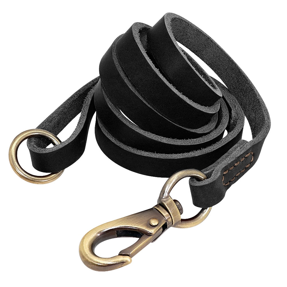 Leather Dog Collar and Leash Set