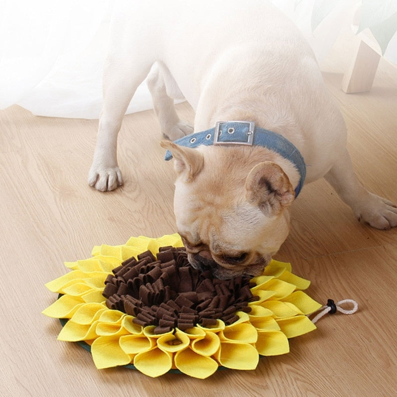 Sunflower Snuffle Puzzle