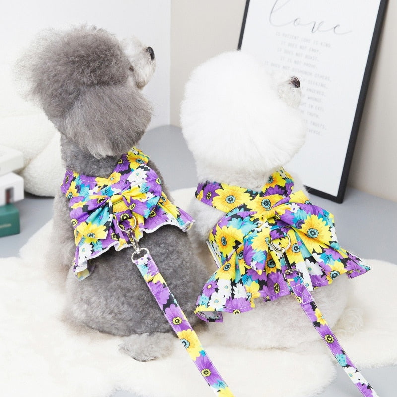 Adorable Dog Dress with Leash Set