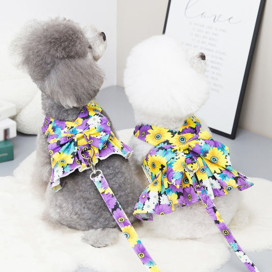Adorable Dog Dress with Leash Set