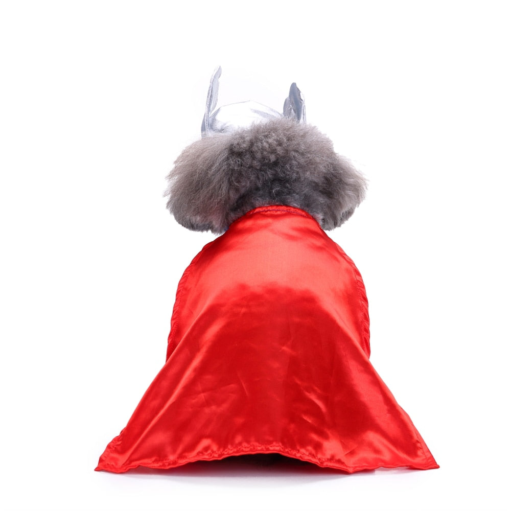 Themed Dog Costume Outfit