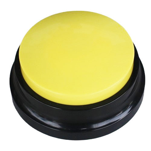 Fun and Effective Pet Communication Training