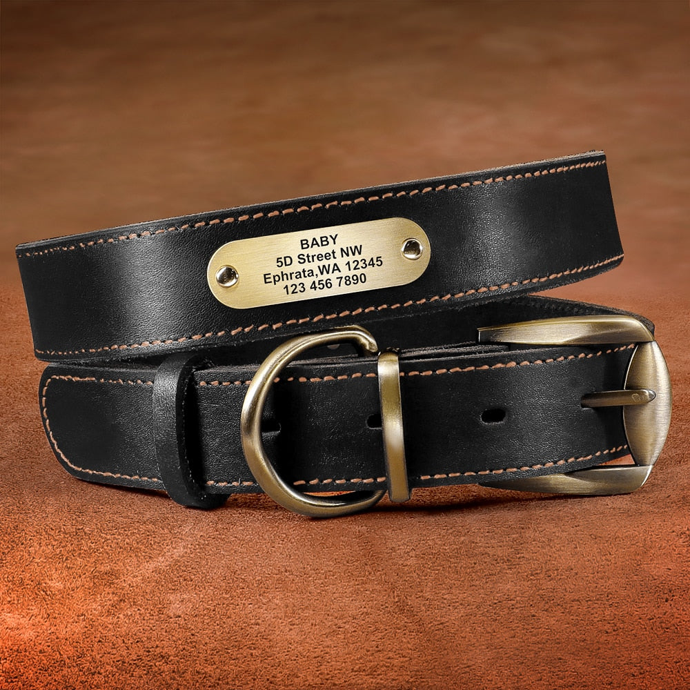 Real Leather Dog Collar Engraved