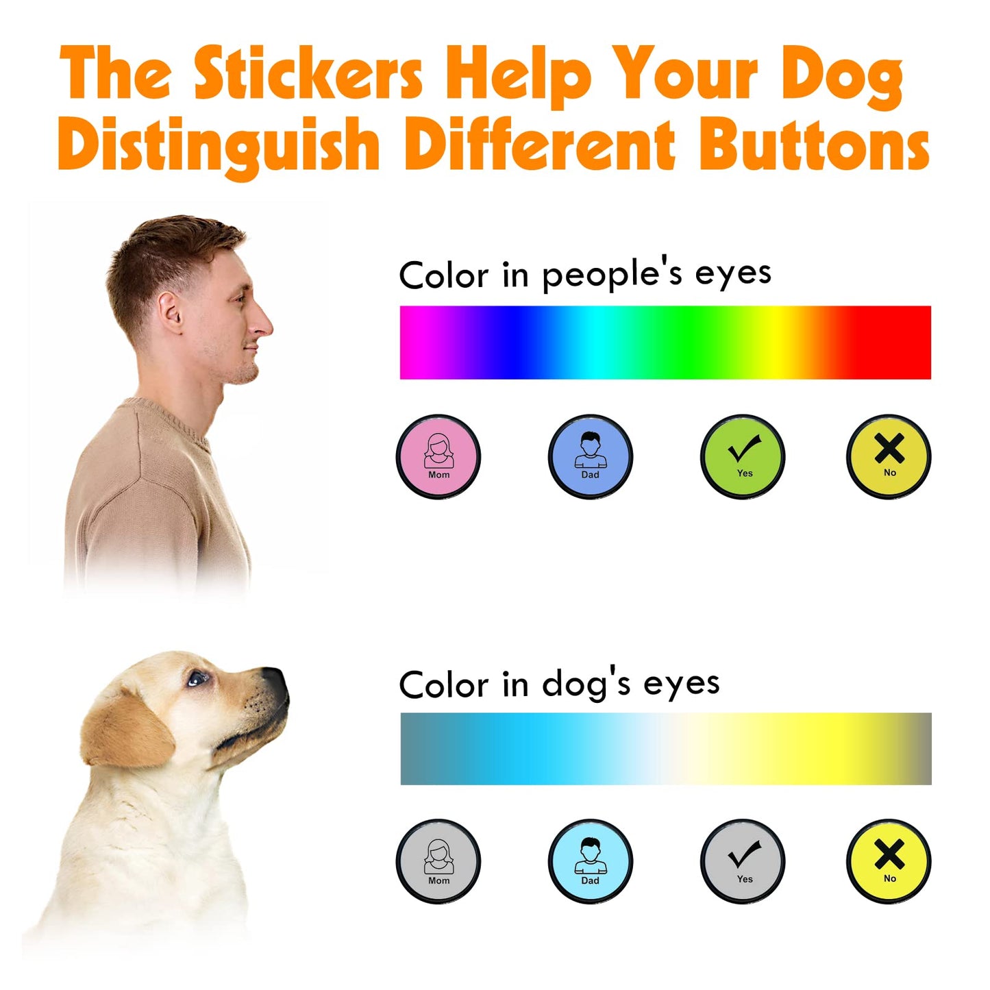 Fun and Effective Pet Communication Training